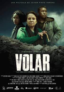 VOLAR